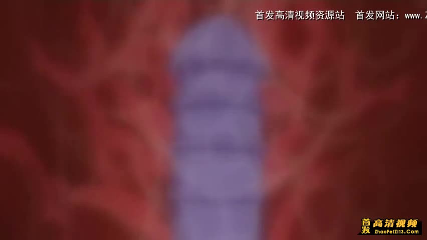 女教师2