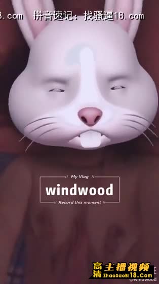 推特风林windwood11